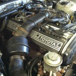 86 Cressida